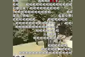 这“土味”国产节目又火了！点开前不知道四川街头这么好笑哈哈哈图片