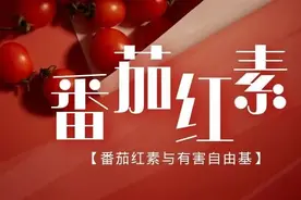 番茄红素丨清除人体有害自由基图片