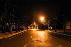 夫妻深夜忘关门，流浪狗误闯家中：你救我一命，我愿保你一生图片