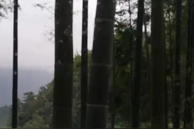 城市丨三个国家，三个平城，一个汉文化圈图片