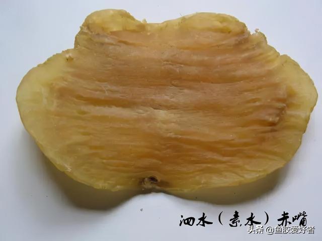 小土赤嘴鳘鱼胶 小赤嘴鳘鱼胶的功效