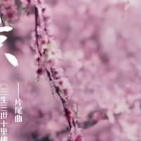龙卡优享卡年费，哪些银行白金卡免年费 配图07