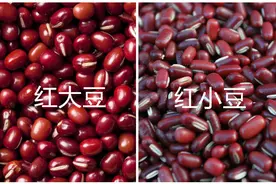 买粗粮红豆，挑“红大豆”还是“红小豆”？营养差别大，别弄错了图片