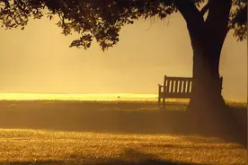 三个人的友情，总有一个是多余图片