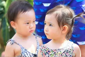 奥利和甜馨，两只曾经的小可爱越长越漂亮啦图片