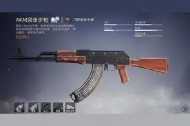 步枪巅峰之争：AKM VS M762深度对比评测图片