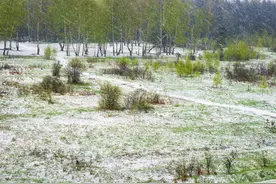 五月迎飞雪，倒夏寒？五月下雪有啥预兆？图片