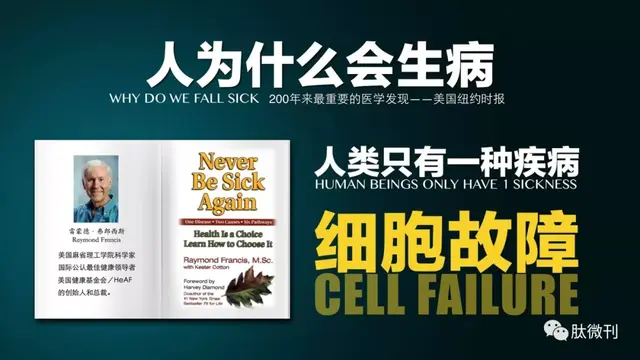 小分子活性肽对心脏的作用 2026年最新小分子活性肽对心脏的作用