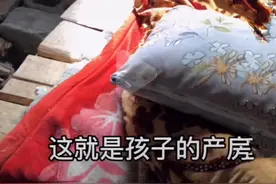 25岁宝妈生4胎无人照料，孩子饿得喝凉水，网友：可怜又可恨图片