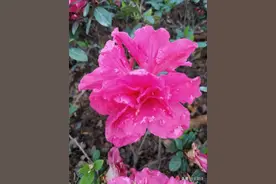 生活中偶遇到的困惑，我用诗语来诉说心情和解决的办法图片