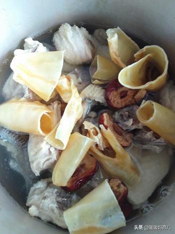 怀孕吃花胶煲鸡汤的做法大全 2026年孕妇吃花胶炖鸡的做法大全窍门 怀孕吃花胶煲鸡汤的做法大全 2026年孕妇吃花胶炖鸡的做法大全窍门