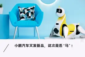小鹏发布可骑乘「智能马」！可聊天可取快递，长相太奇葩图片