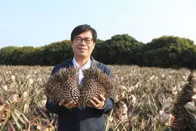 哗众取宠！陈其迈喊民进党党徽换凤梨挺农民，遭讽“大草包”图片