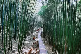 西安市旁边的最大竹海，可赏瀑布划船走迷宫，避暑吃农家乐图片