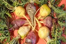 曾被吵到“天价”，现在百元一斤没人要 ，啥原因 ？图片