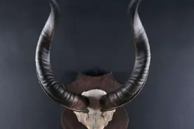 这五种文玩千玩别碰，快来看看你家里有吗？图片