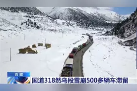 交通一度中断！国道318线西藏昌都境内然乌段突发雪崩图片
