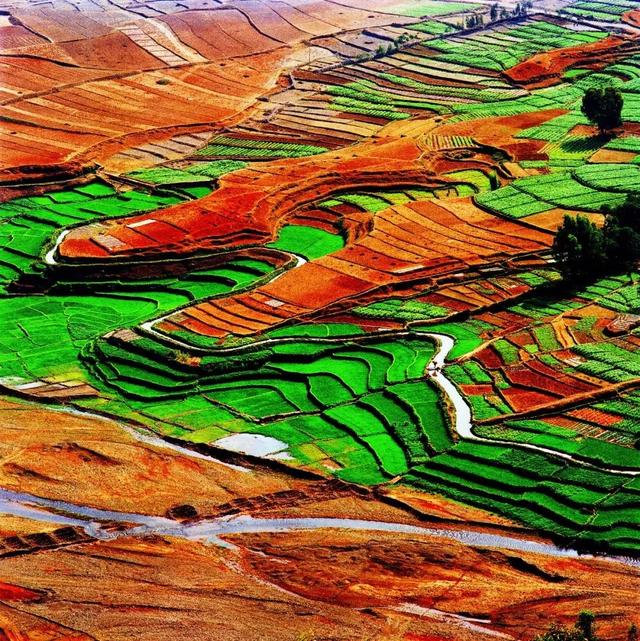 100幅顶级摄影师的获奖摄影