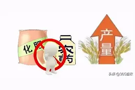 农资一路涨涨涨！《肥料知识99问》系列三，选对用对，才不吃亏图片