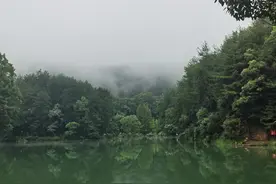 重庆探秘㉗｜山外青山楼外楼——探秘缙云山生态环境综合整治图片