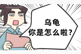 【终南文化】乌龟是怎样跌落神坛的！图片