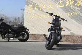 年货购物车要不要加入这两款雷克新车型图片