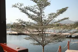 斥资百万巨资打造！汕头首列仿古绿皮火车惊现绿梦生态园图片