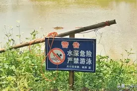 如果你看到它们请不要拿走—— 平南各地水塘边放置救生绳索和竹竿图片