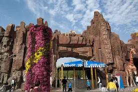 河南地区唯一可以看到熊猫的动物园，性价比最高的野生动物园图片