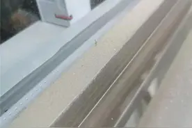 最近“席卷”贵阳的黄色粉末是什么有答案了！原来是马尾松送的“春天礼物”图片