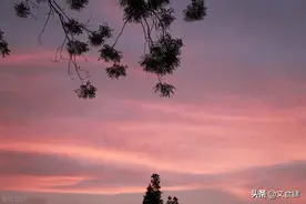 老话说：“面不仰卧、腿不张胯”，是什么意思？有没有道理图片