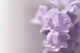 因为有爱，所以依赖，感谢月亮处女座的在意，余生色彩变得幸福图片