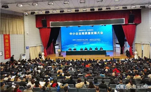 龙雏破解版免费下载（今年奖补资金381亿元龙泉驿的企业就是这么幸福）