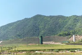 饮水思茶，茶叶的传承图片