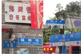 榕树承载着广州人的记忆，为什么广州要开始把榕树挖掉图片