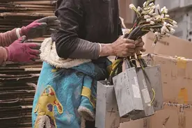 币圈彻底覆灭：炒币犯法，这次根被砍断了图片