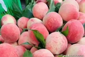 龙泉驿的水蜜桃为啥这么好吃？快看“秘籍”图片