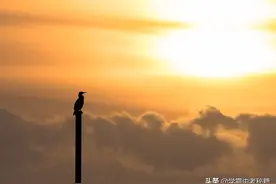 中考优秀作文：《你是驱散雾霾的阳光》图片