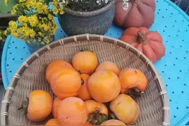 5种食物，秋冬别贪吃，胃疼可够难受的图片