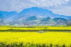 北京至婺源自驾游路书（途径黄山、宏村、婺源、千岛湖、乌镇）图片