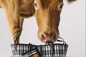 丑！哭！了！国外大牌，求求你们别搞中国风了图片