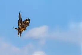 被人无视、被人轻视，可以用这几首诗自勉，诗词教给我们的智慧图片