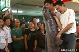 巢湖“巨青”现身菜市场，身长1.7米重达146斤，网友：可惜图片