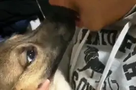 狗子被醉酒的主人“强吻”，不反抗还闭上眼睛：这也太下饭了吧图片