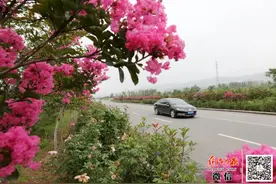 焦作，因诗意而更加雅致文明图片