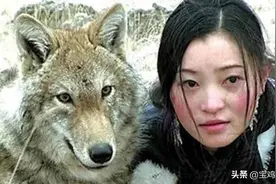 11年前，把狼当儿子带回家的成都女孩，10年后在草原与它再次相认图片