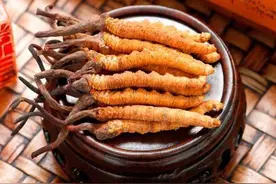 “雅克草原”好物推荐——冬虫夏草，神奇的中药草图片