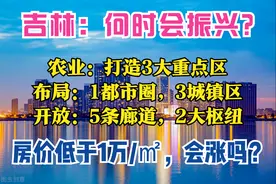 吉林2035：1个都市圈，2个国际枢纽，3大城镇区，全省房价不破万图片