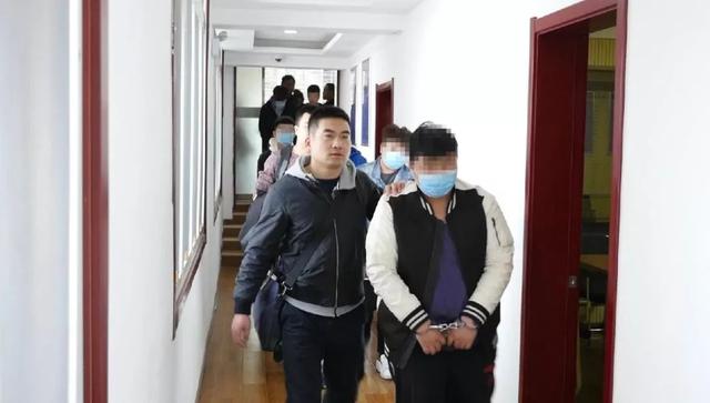 涉案上千万！山东公安破获一起重大投资平台诈骗案