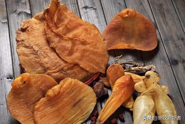 鱼胶为什么贵 为什么鱼胶这么贵